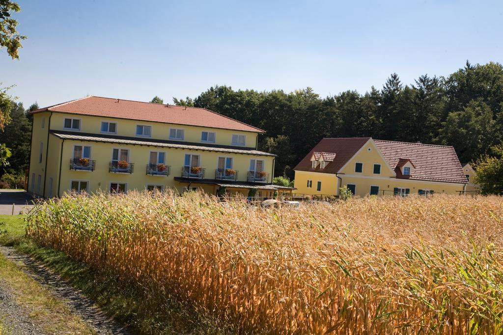 Hotel Bad Blumauerhof Exteriér fotografie